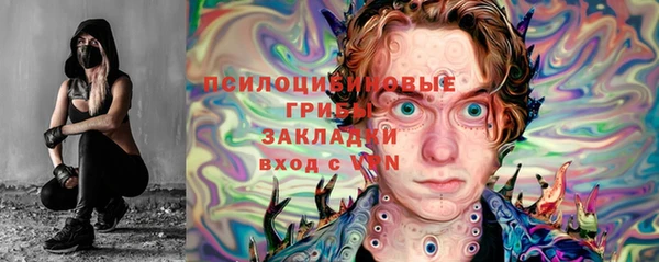 мдма Ельня