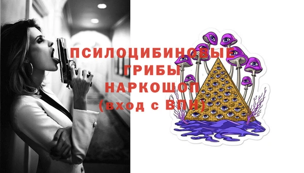 мдма Ельня