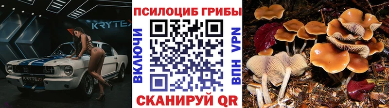 Галлюциногенные грибы GOLDEN TEACHER  как найти   Екатеринбург 
