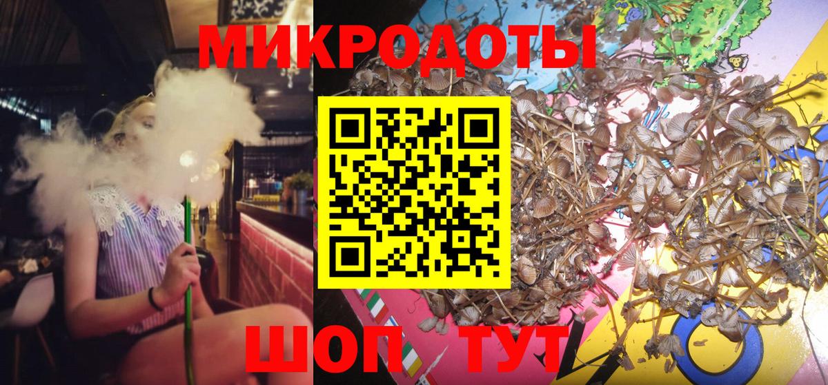 Псилоцибиновые грибы мицелий  Вход с VPN  Россия 