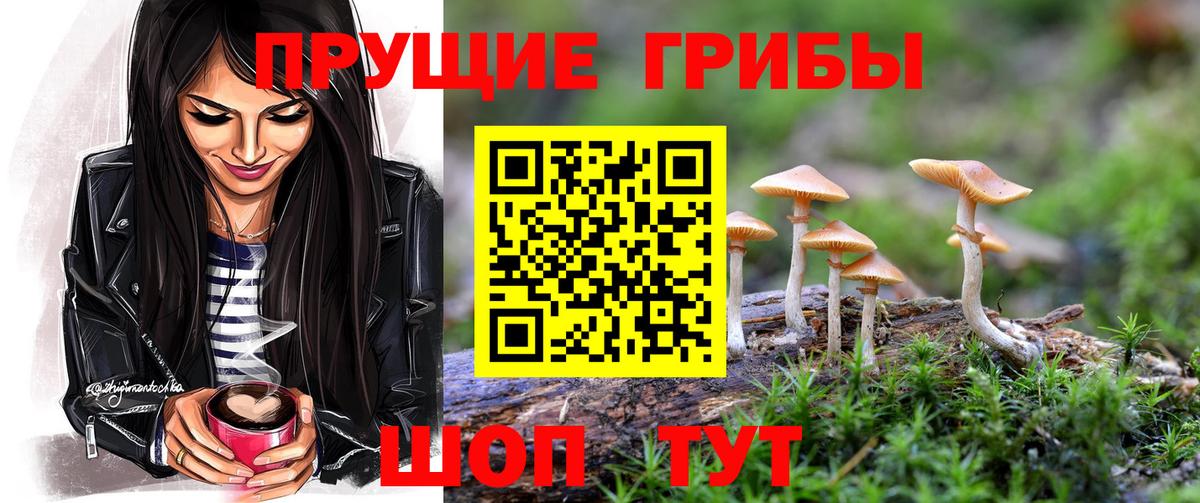 Псилоцибиновые грибы мицелий Россия