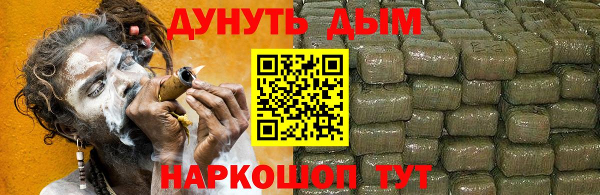 Канабис OG Kush Россия